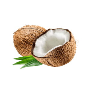 Coconut, Indonesia
