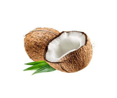 Coconut, Indonesia