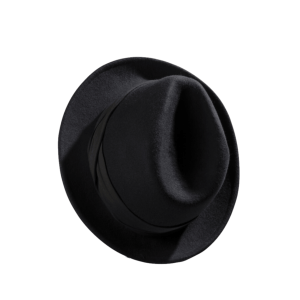 Fashionable Fedora Hat